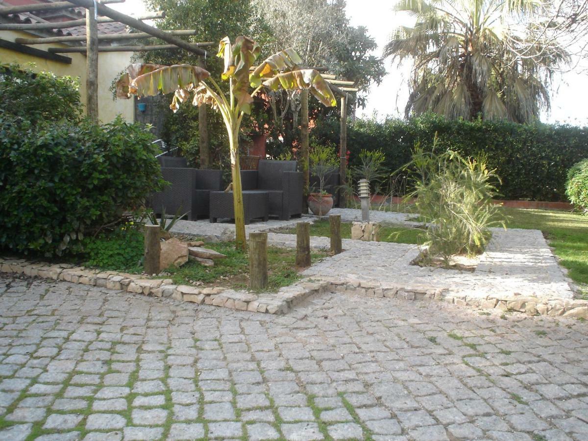 Olhão Quinta Da Sao Joao - Villa Oliveira מראה חיצוני תמונה